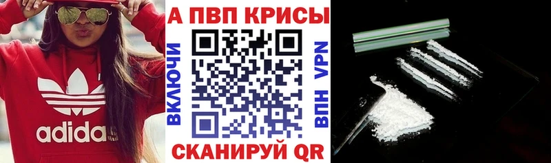 Альфа ПВП СК  kraken как зайти  Сосногорск 
