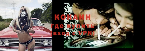 стаф Верея