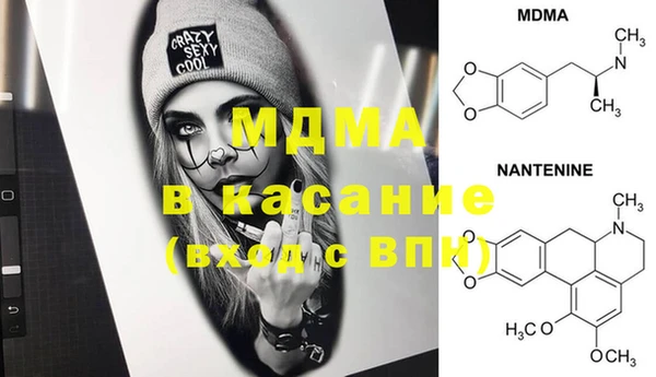 стаф Верея