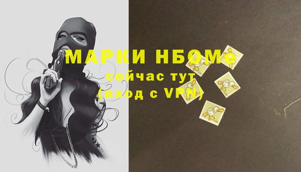 индика Верхний Тагил