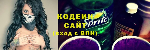 индика Верхний Тагил