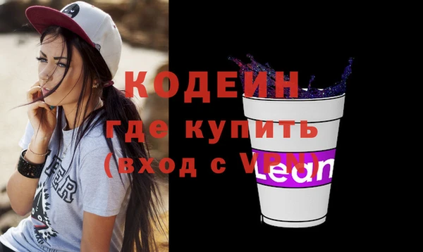стаф Верея