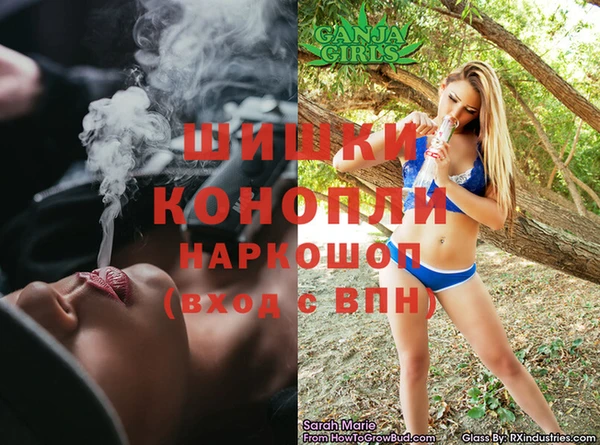 индика Верхний Тагил