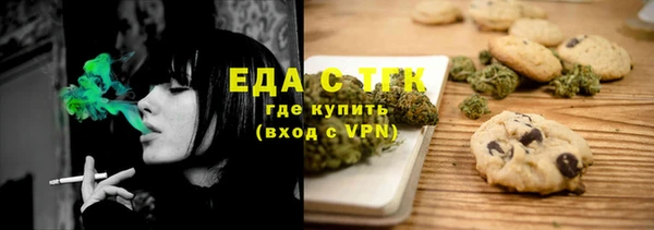 индика Верхний Тагил