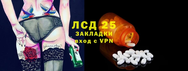 индика Верхний Тагил