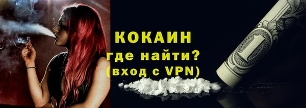 стаф Верея