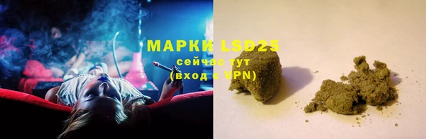 стаф Верея