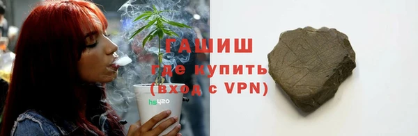 индика Верхний Тагил
