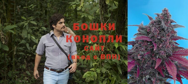 индика Верхний Тагил