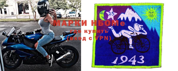 стаф Верея