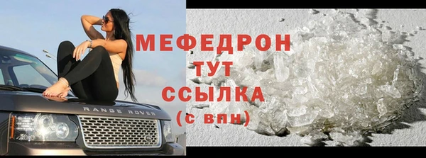 индика Верхний Тагил