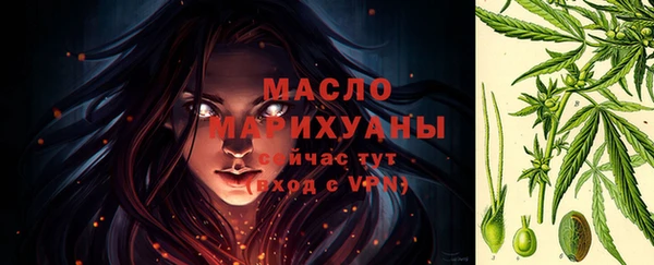 стаф Верея