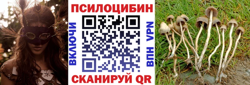 Псилоцибиновые грибы MAGIC MUSHROOMS  гидра сайт  Сосногорск 